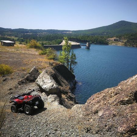 "Porodica Markovic" Borsko Jezero Beljevina Exterior foto