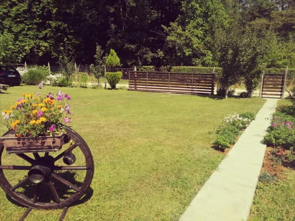 "Porodica Markovic" Borsko Jezero Beljevina Exterior foto