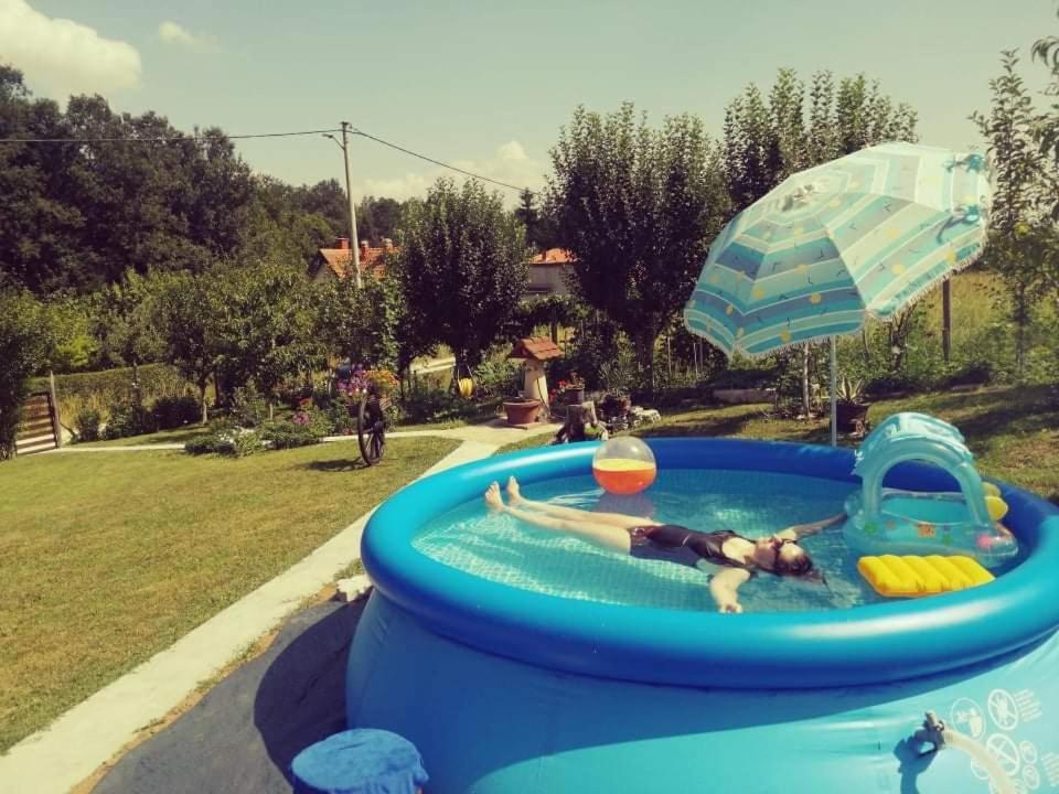 "Porodica Markovic" Borsko Jezero Beljevina Exterior foto